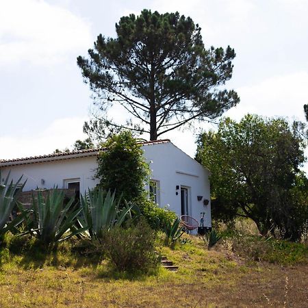 Monte Da Urze Aljezur - Agroturismo Esterno foto