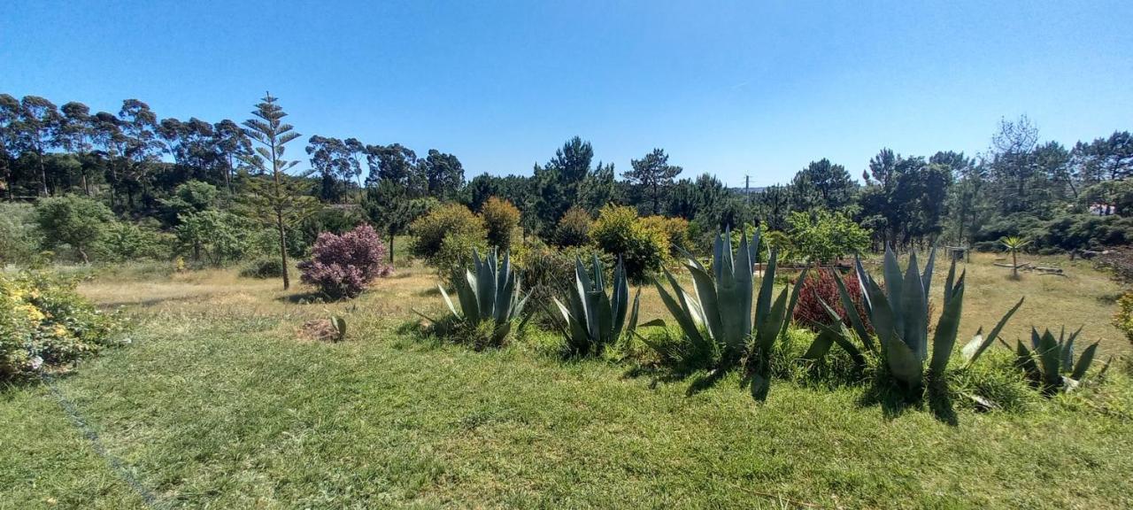 Monte Da Urze Aljezur - Agroturismo Esterno foto