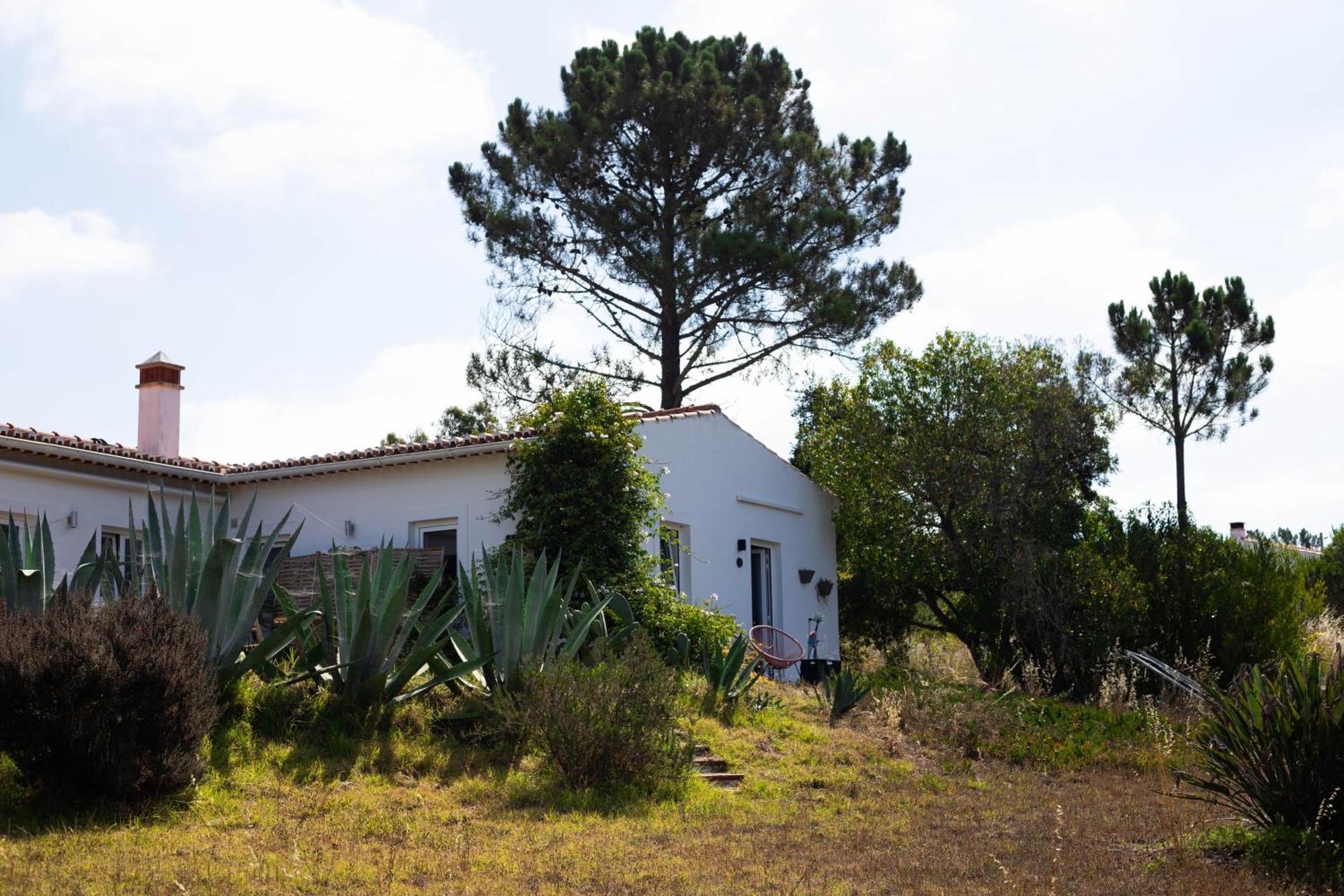 Monte Da Urze Aljezur - Agroturismo Esterno foto